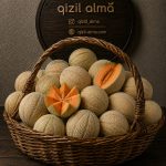 جانان اتشی