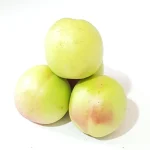 شلیل شمس