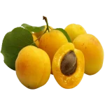 زردآلو تبرزه